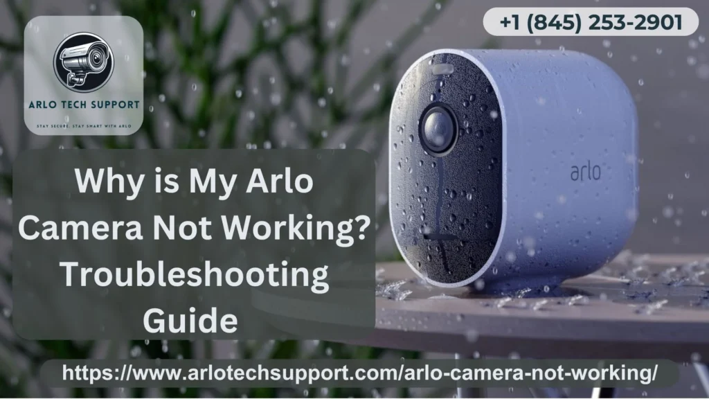 Arlo Camera Not Working